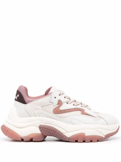 Ash Addict Sneakers In Multi