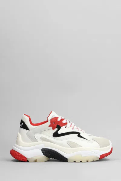 Ash Addict Sneakers In White