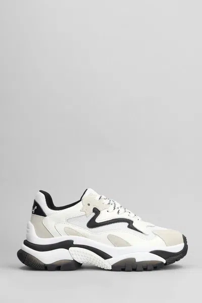 Ash Addict Sneakers In White