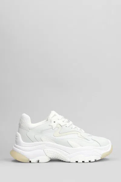 ASH ASH ADDICT SNEAKERS
