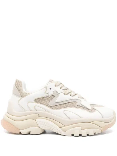 ASH ADDICT SNEAKERS