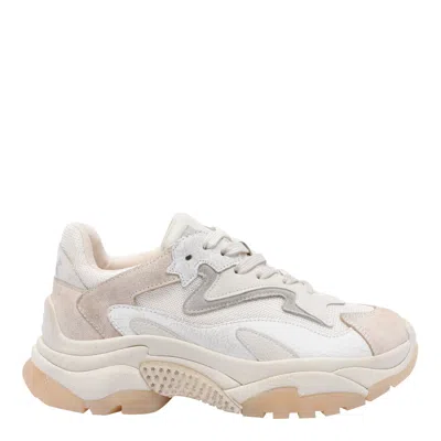 Ash Addict Sneakers In White