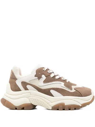 Ash Addict Suede Panelled Chunky Sneakers In Brown