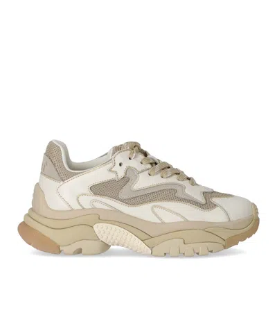 ASH ADDICT WHITE BEIGE SNEAKER