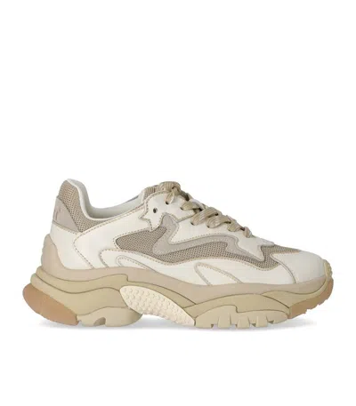 Ash Addict White Gold Sneaker