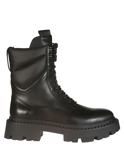 Ash Anfibio In Black