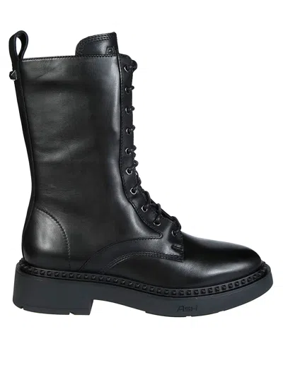 Ash Anfibio In Black