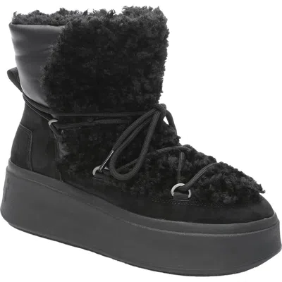 Ash As Moboo Womens Lace Up Platform Ankle Boots In Black