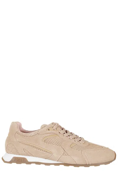 Ash Beige Kasar Suede Mesh Leather Sneakers In Brown