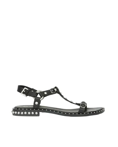 Ash Black Leather Sandals With Silver Stud Details In Gray