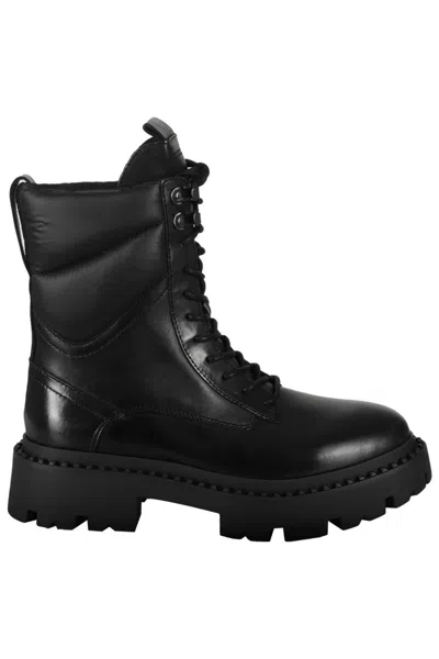 ASH ASH BLACK MUSTANG AMPHIBIAN