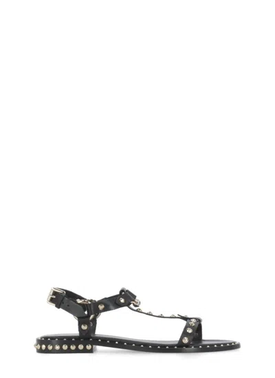 Ash Patsy Stud Ankle Strap Sandal In Black