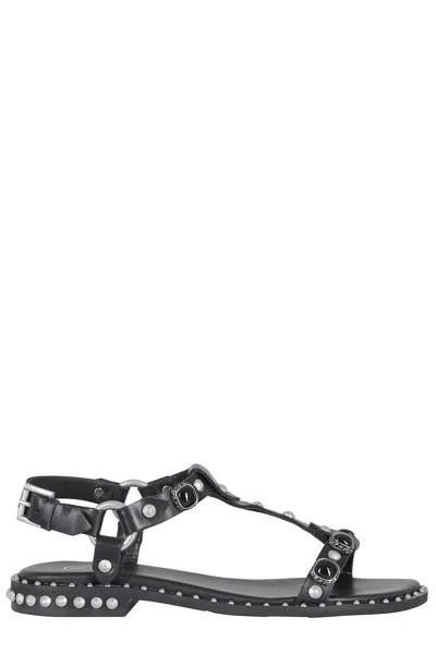Ash Black Podium Applied Studs Buckle Leather Flat Sandals