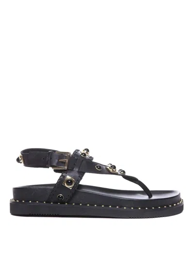 Ash Uteca Stud-embellished Leather Sandals In Black