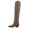 Ash Boots In Brown