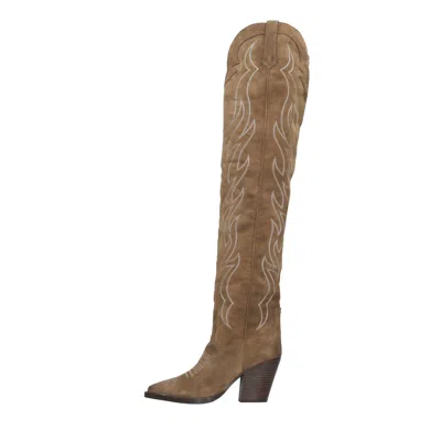 Ash Boots Brown In Marrone Marroni
