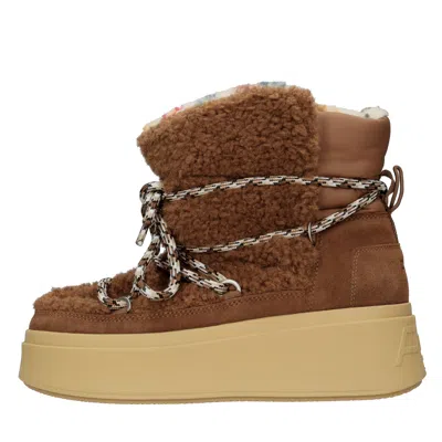 Ash Boots Brown In Marrone Marroni