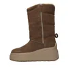 Ash Boots In Brown
