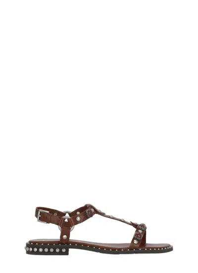 Ash Bordeaux Podium Studded Leather Sandals In Black