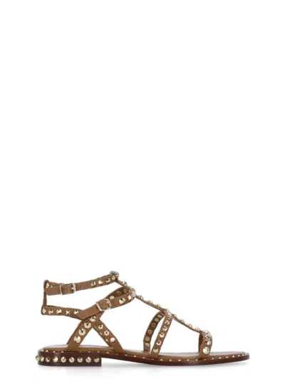 Ash Brown Precious Sandals