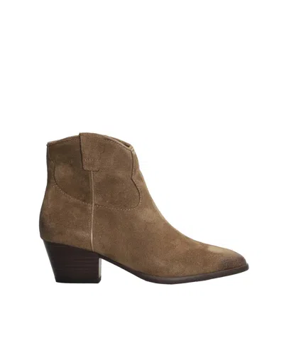 ASH BROWN SUEDE ANKLE BOOTS