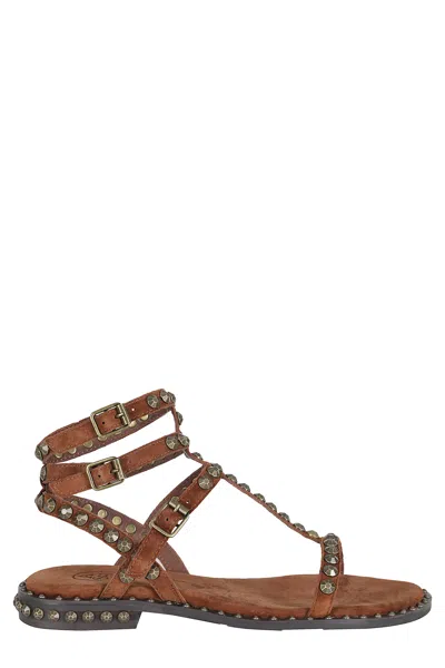 Ash Precious Leather Sandals In Multi