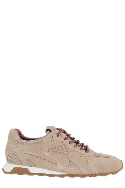 Ash Calf Suede In Brown