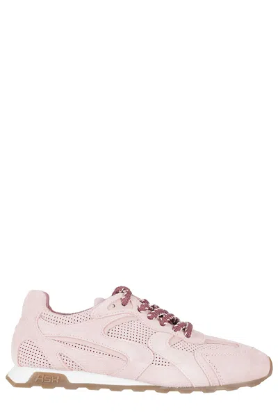 Ash Perforated Sneakers In Pink