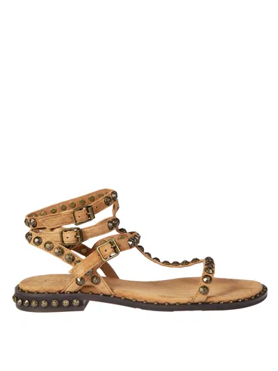 Ash Chic Cachemere Sandals For Women In Brown