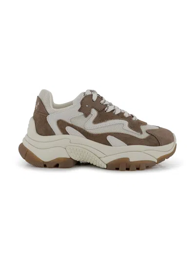 Ash Chunky Addict Sneakers
