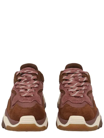 Ash Chunky Suede Mesh Pink Sneakers In Brown
