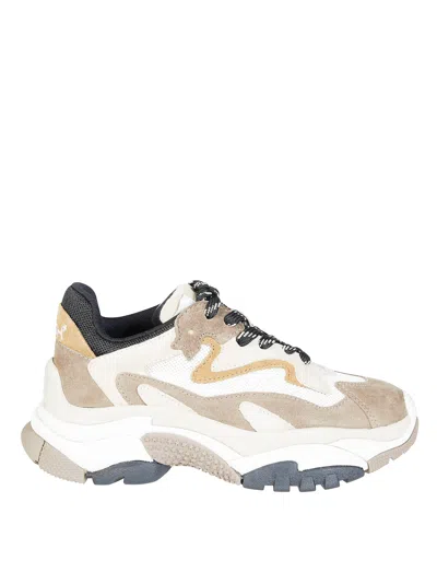 Ash Chunky Suede Mesh Sneakers In White