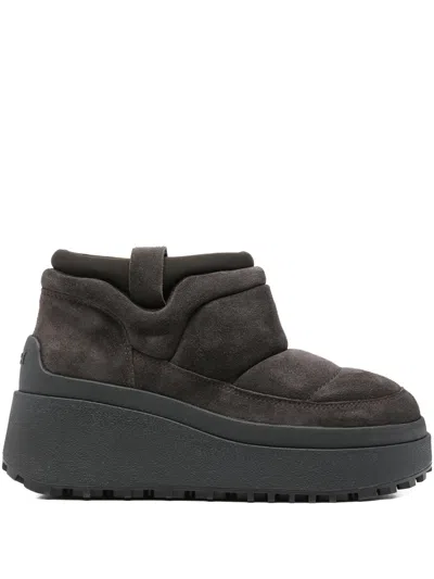 ASH ASH COMBO:B CALF SUEDE AFRICA/AFRICA C1