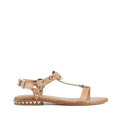 ASH ASH CROCODILE PRINT SANDAL WITH STUDS