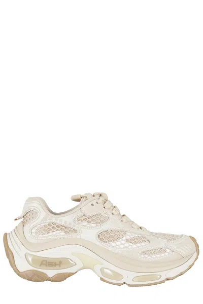 Ash Sneakers In Brown