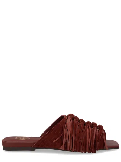 Ash Deep Reddish-brown Brigitte Knotted Fringes Mules In Burgundy