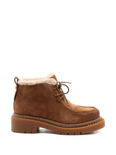 Ash Demi Lace-up Ankle Boots In Brown
