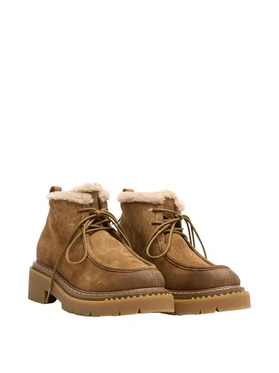 Ash Demi02 Chestnut Shoe In Brown