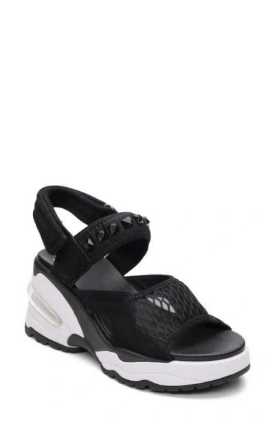 Ash Diva Slingback Platform Sandal In Black