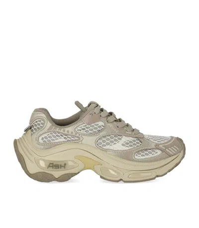 Ash Dragon Grey Sneaker In Brown