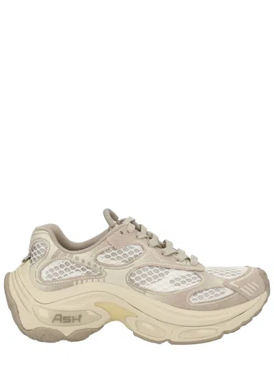 Ash Dragon Sneaker In Neutral