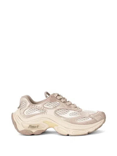 Ash Dragon Sneakers In Pink