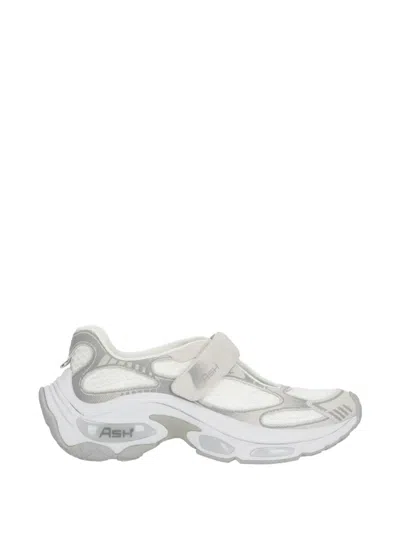 Ash Drake Suede Sneakers In White