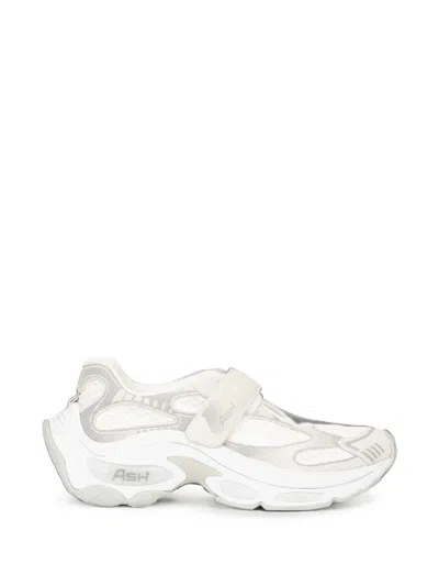 Ash Drake Touch-strap Low-top Sneakers In White
