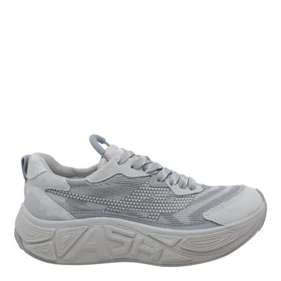 Ash Eagle Sneakers In Gray