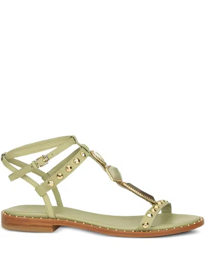 Ash Embellished Buckle Sandals