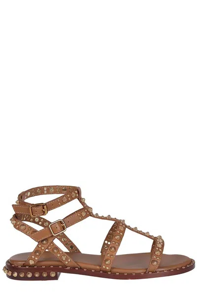 Ash Pepsy Studded Leather Sandals In Brown