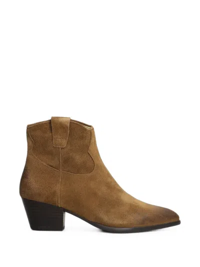 Ash Fame Suede Ankle Boots In Brown