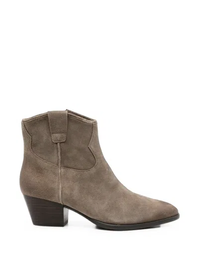 Ash Fame Suede Ankle Boots In Brown