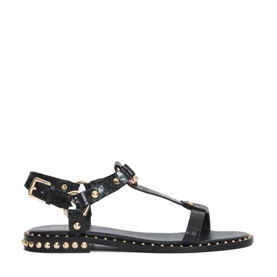 Ash Flat Sandals In Black Crocodile Print Leather